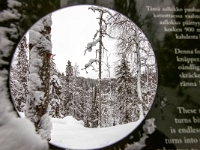 Park Narodowy Oulanka